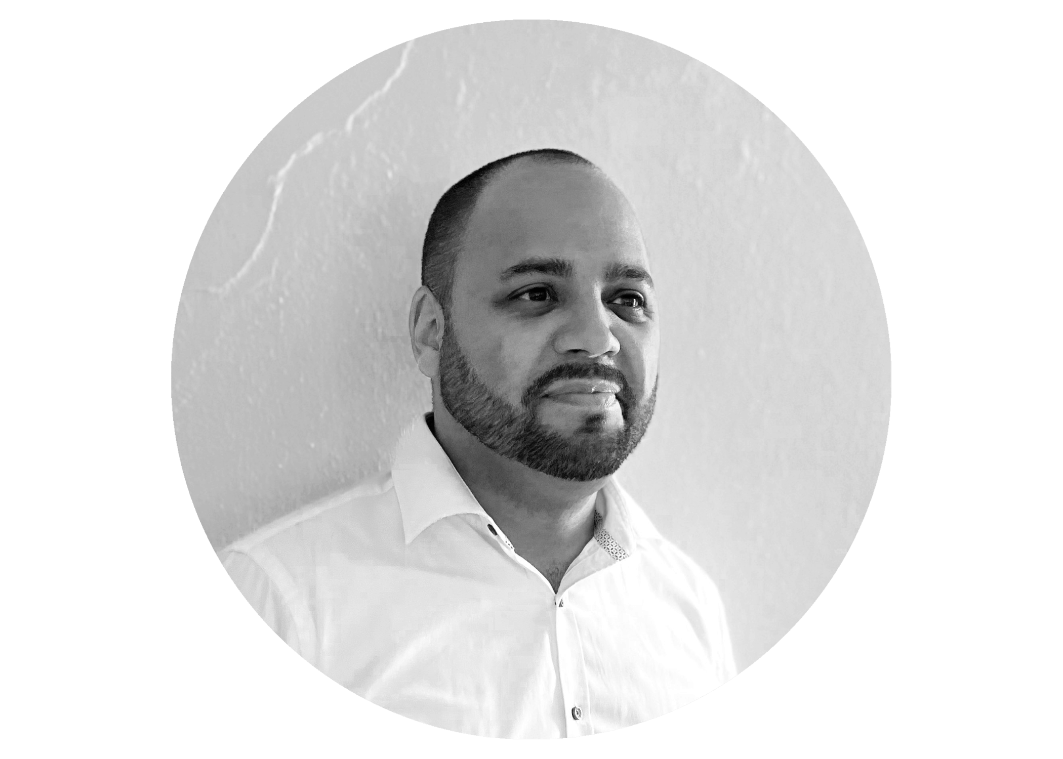 Profilbild von David Steinert